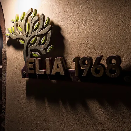 Elysian Elia Heritage Guest house