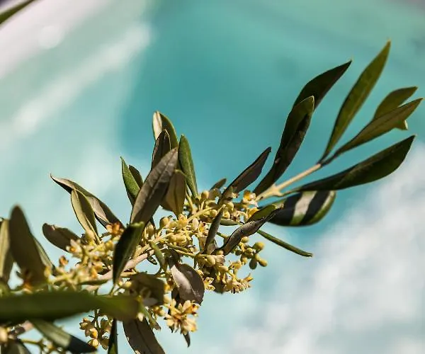 Elysian Elia Heritage 4*