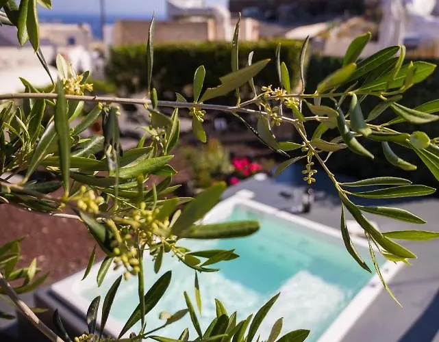 ゲストハウス Elysian Elia Heritage