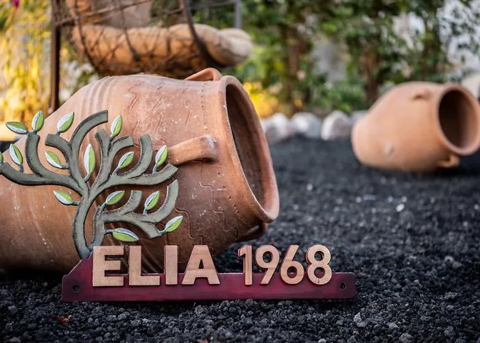 Guest house Elysian Elia Heritage 4*