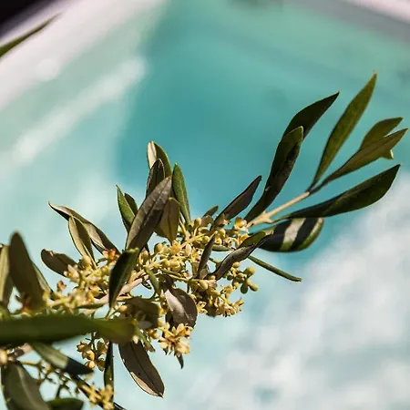 Elysian Elia Heritage 4*