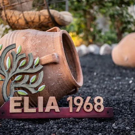 Casa de hóspedes Elysian Elia Heritage 4*